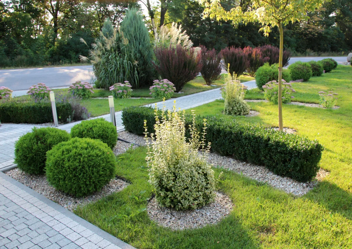 Buxus ako dizajnový prvok záhrady / Foto: Depositphotos