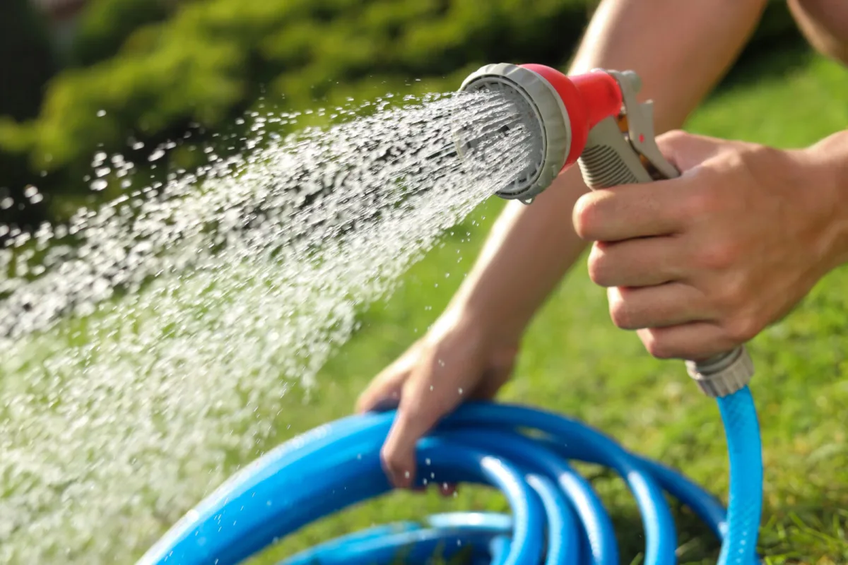 Watering in extreme temperatures / Photo: Depositphotos