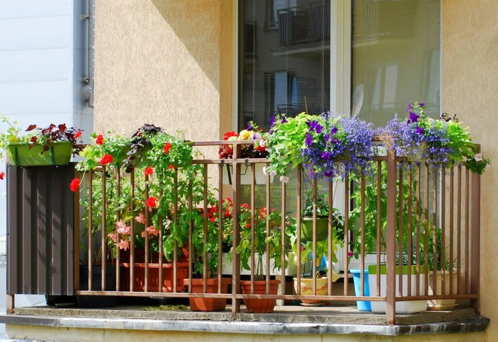 Balcony flowers - Photo: Depositphotos