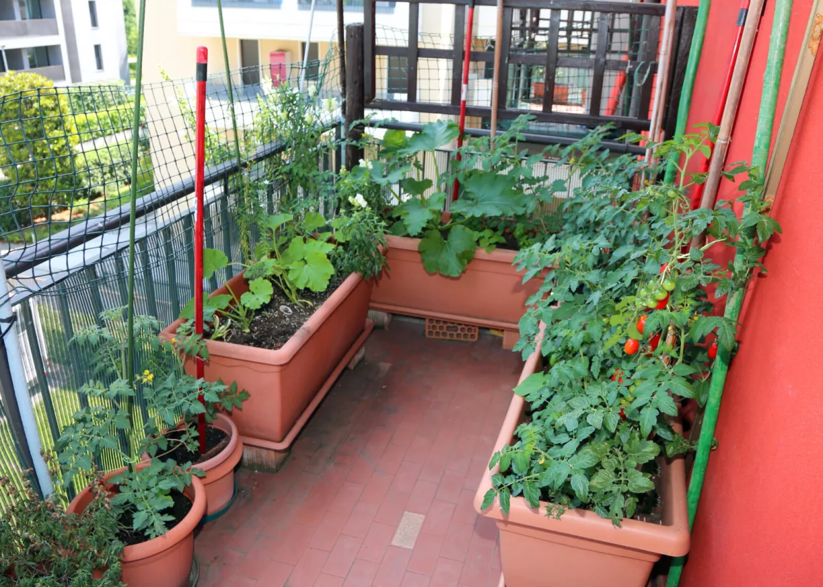 A North-Facing Balcony Doesn’t Have to Be a Problem