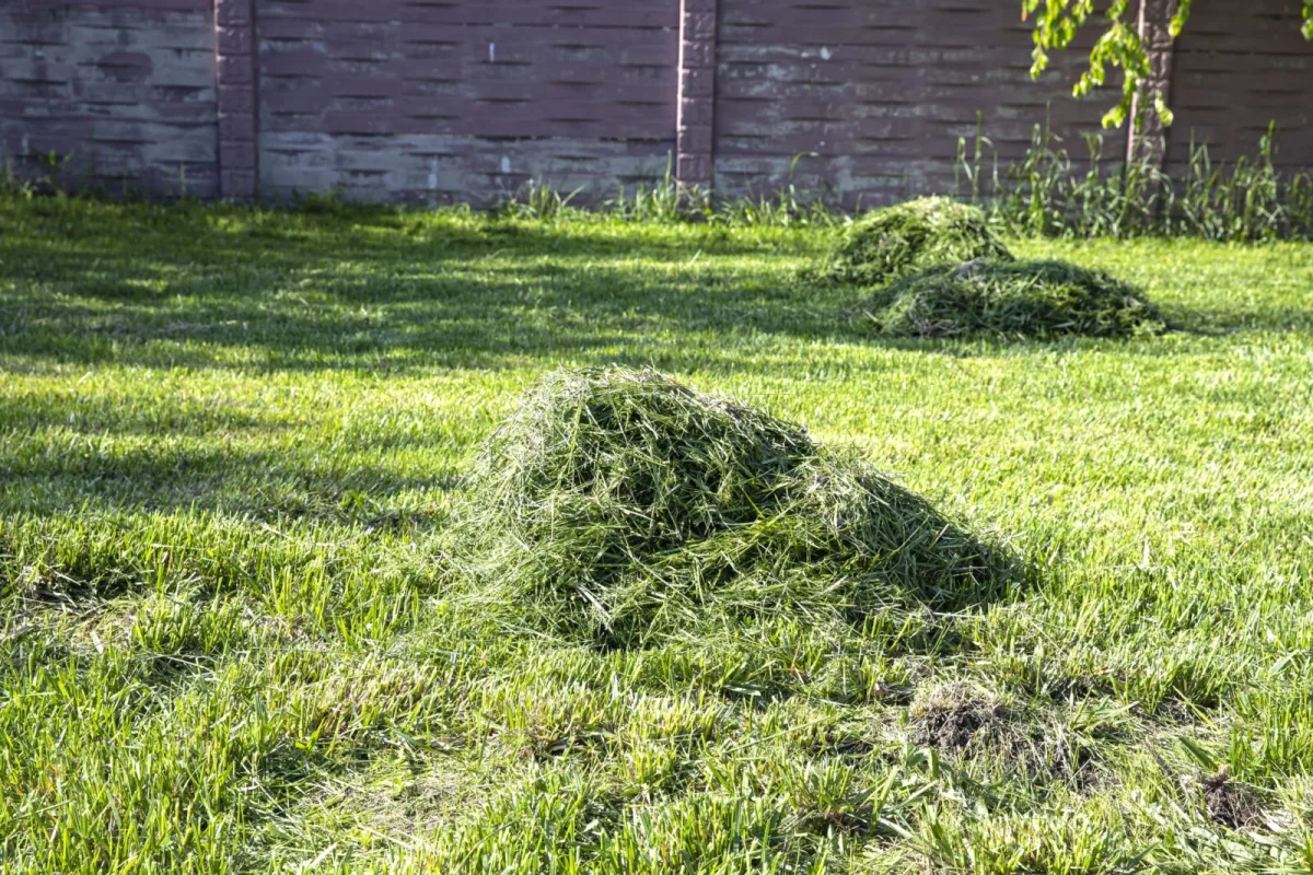 Pokosená tráva po kosení nemusí do odpadu, využite ju šikovne