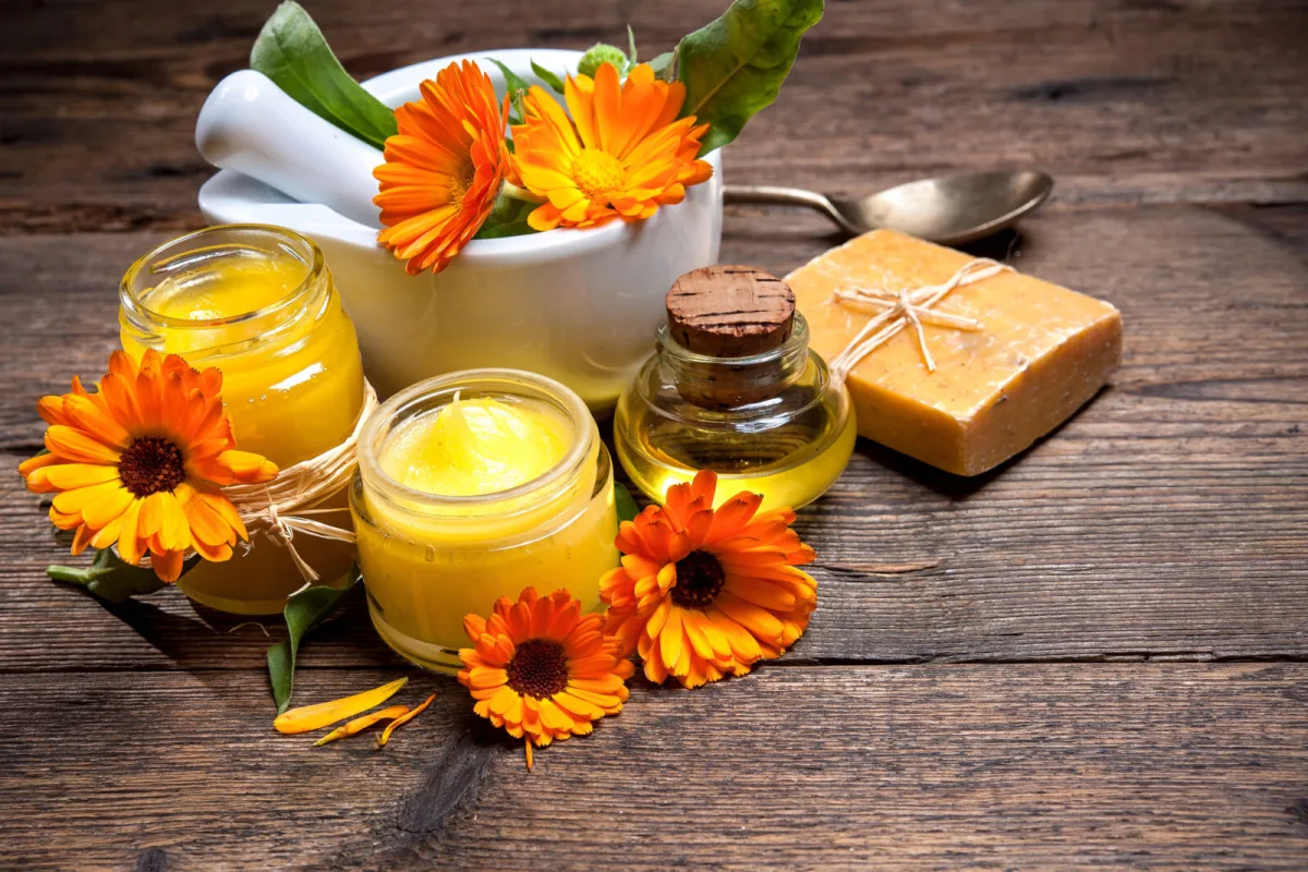 Produits maison à base de souci officinal / Photo: Depositphotos
