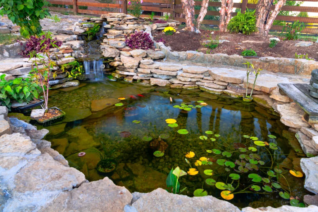 Garden pond / Photo: Depositphotos