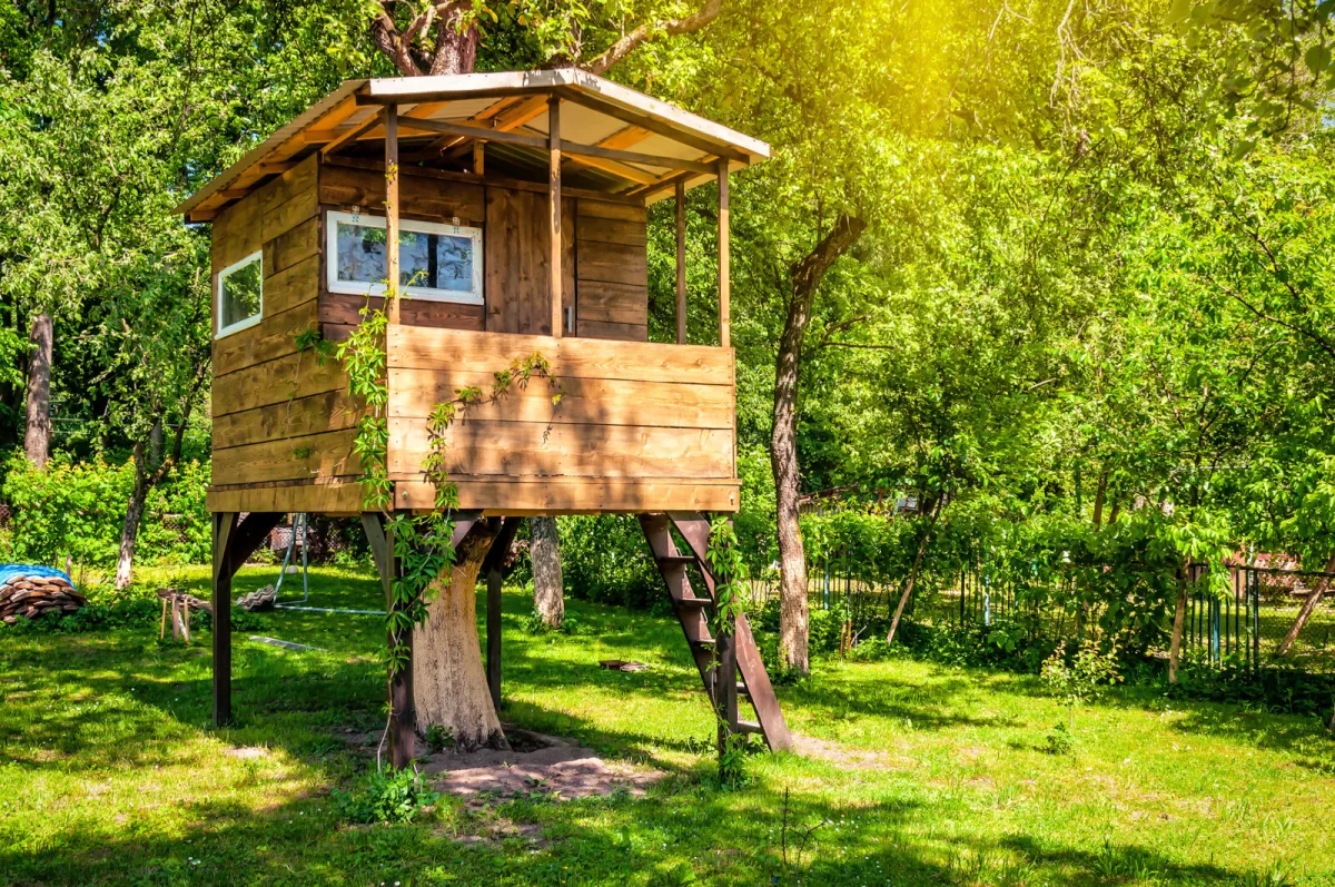 A treehouse / Photo: Depositphotos