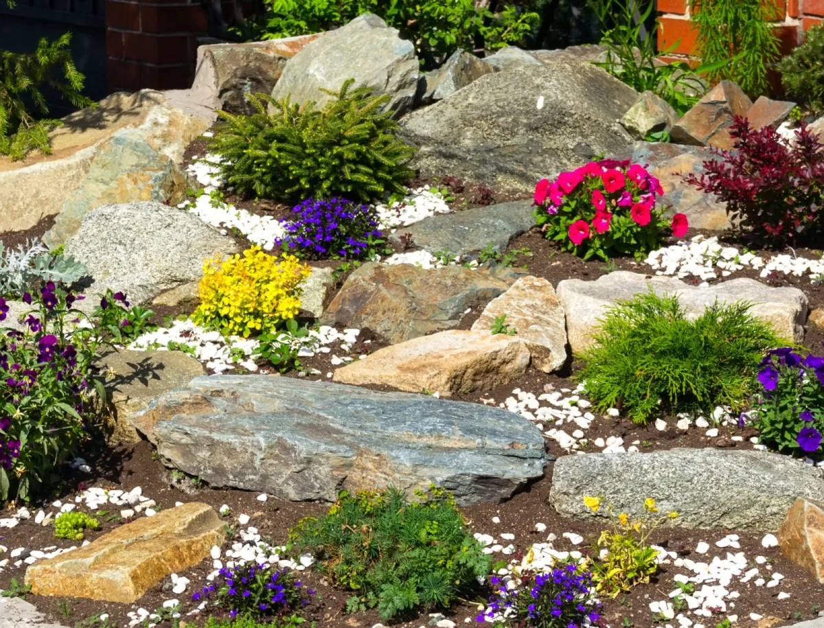 Rock garden / Photo: Depositphotos