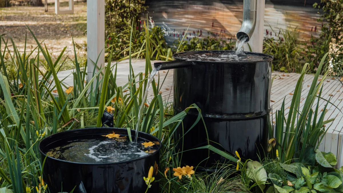 Collecting rainwater / Photo: Depositphotos