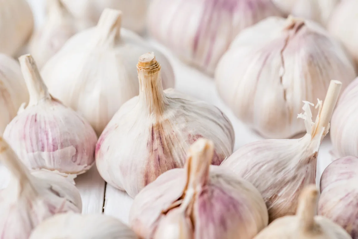 A simple trick to tell when to harvest garlic so it stores for months