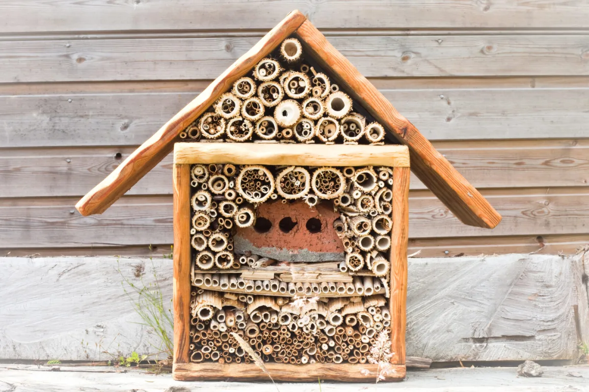 An insect hotel / Photo: Depositphotos
