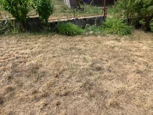 How to Keep Your Garden Going in Drought Without Wasting Water or Money