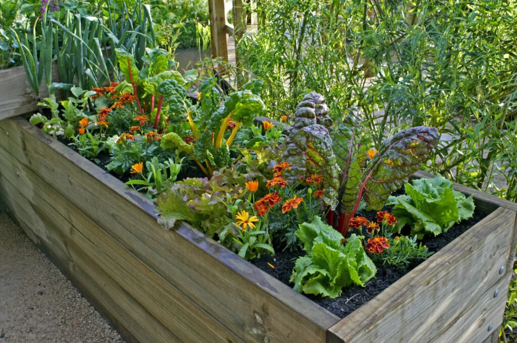 Raised bed / Photo: Depositphotos