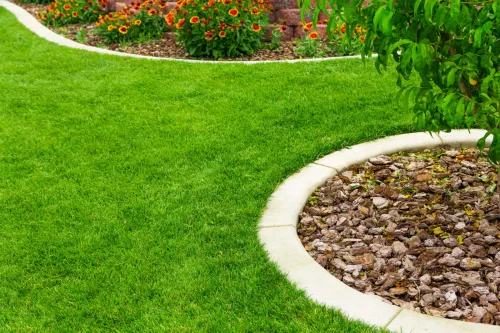 Four Common Lawn Diseases and How to Prevent Them Without Chemicals