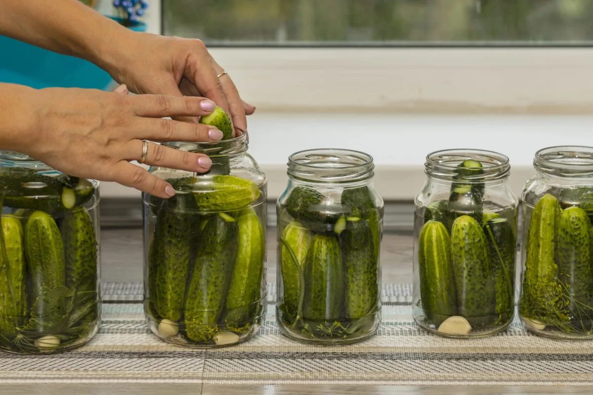 Homemade Pickled Gherkins Just Like Grandma’s, Crunchy and Sweet-and-Sour