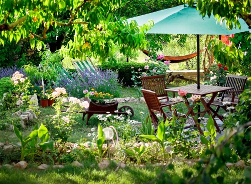 Smart Ways to Turn Your Garden into a Mosquito Free Haven