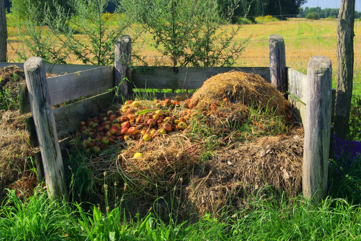 Compost for More Fertile Soil and Lower Fertiliser Use