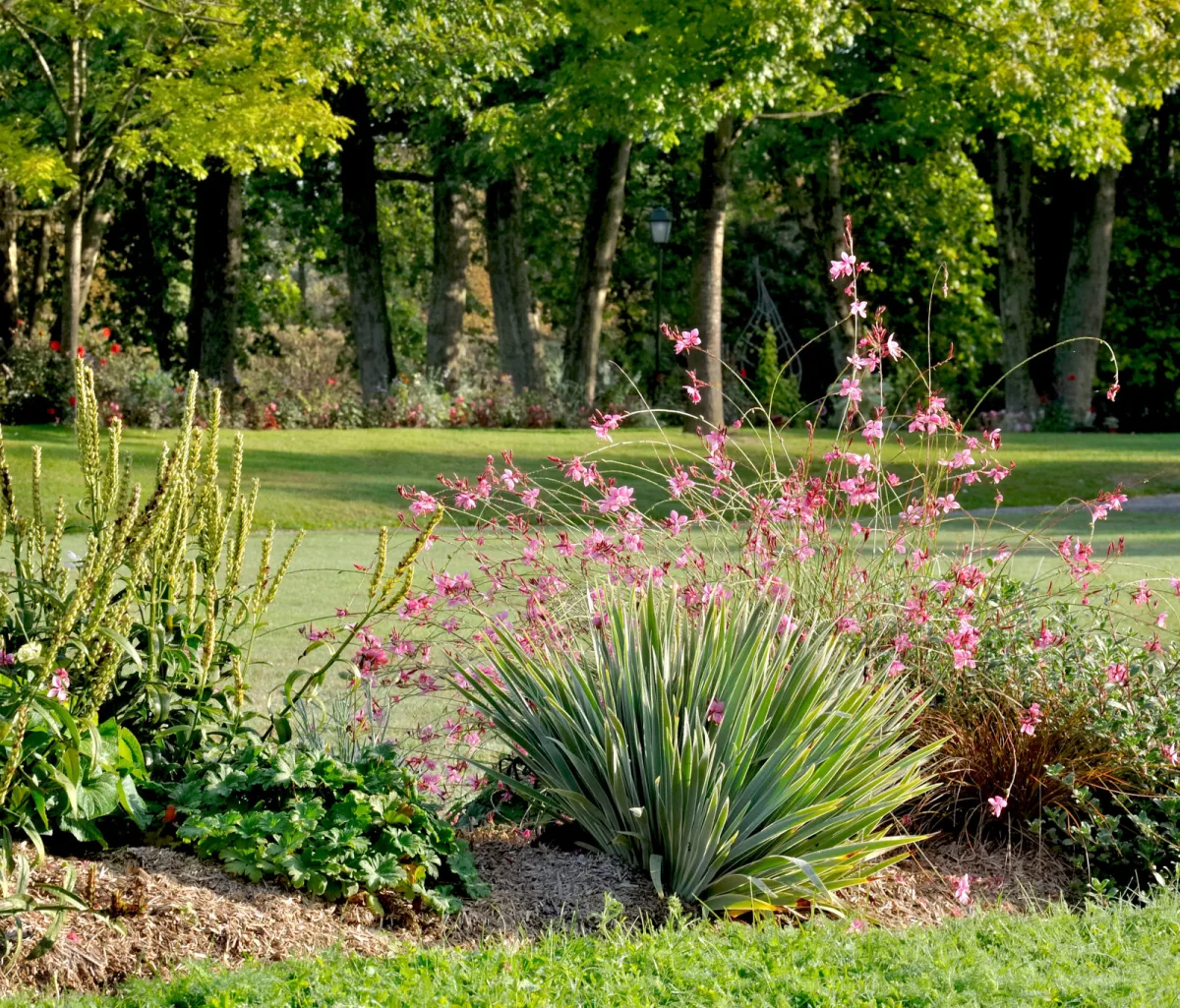 Beeblossom / Photo: Depositphotos