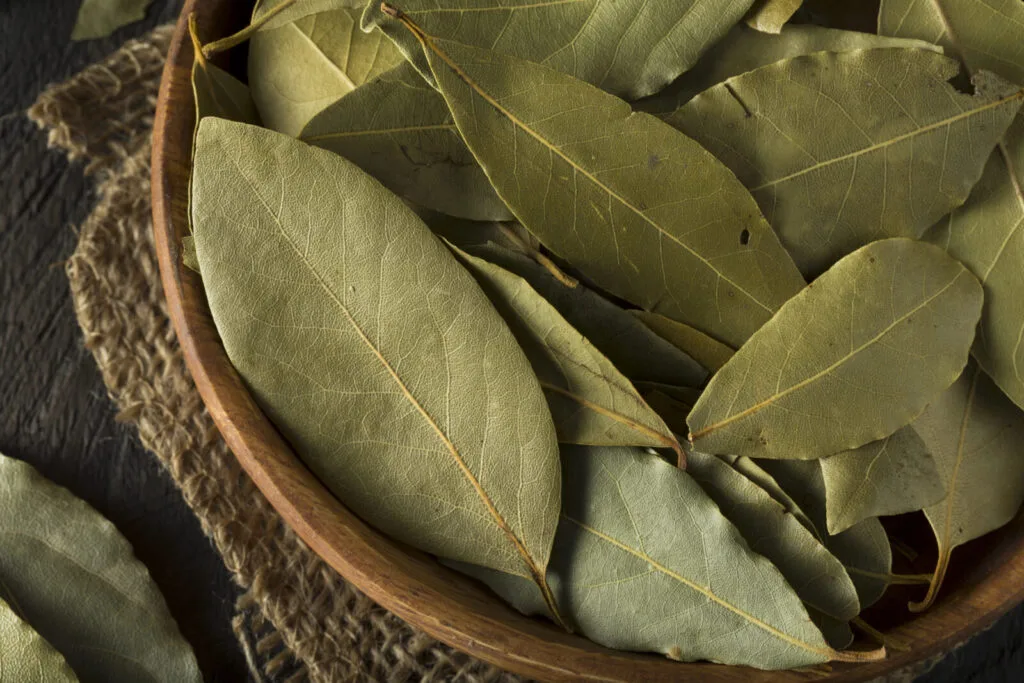 Bay leaves / Depositphotos