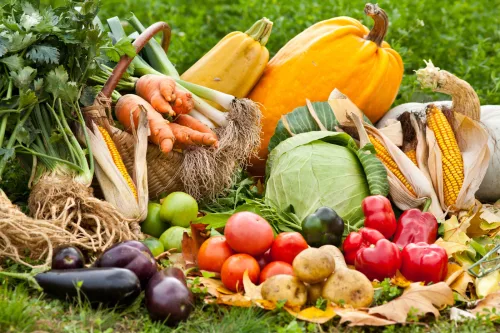 What to Plant in an Autumn Bed So You Can Harvest Until Frost