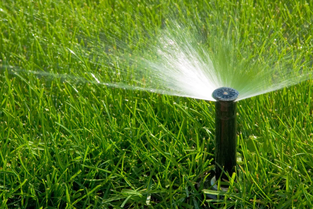 How to Set Lawn Watering Times for a Healthy, Dense Turf