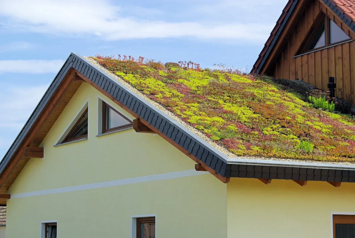 Green roofs as natural insulation for a cooler summer and a warmer winter