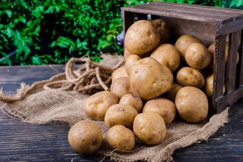 How to store potatoes so they last until spring without rotting