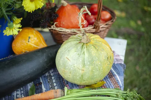 Como armazenar corretamente os legumes da horta para durarem todo o inverno