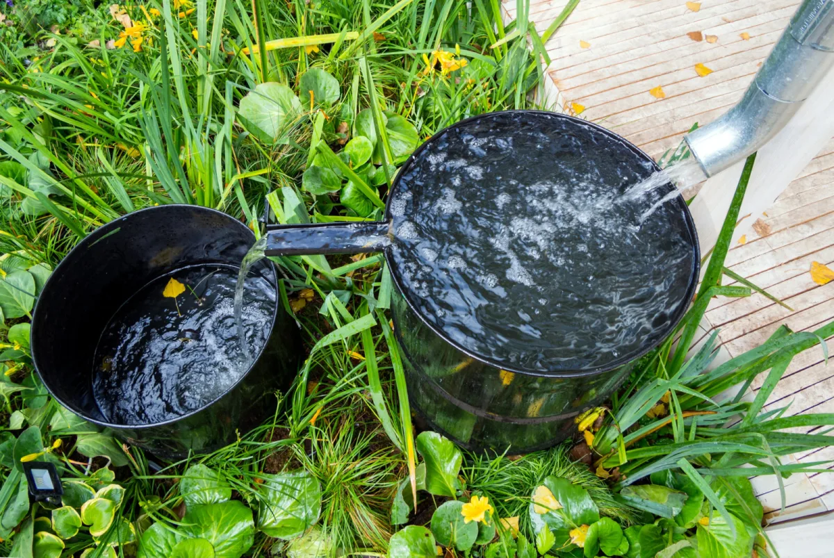 How to Keep Your Garden Well Watered So Plants and Lawn Don’t Suffer