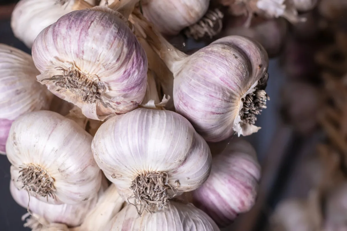 Ein einfacher Trick, damit Knoblauch das ganze Jahr hält