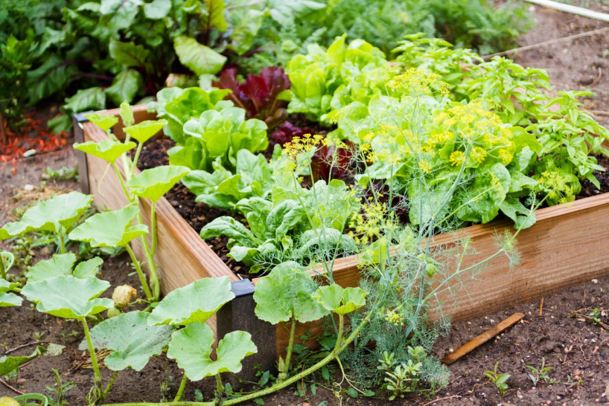 How to Prepare Your Garden Before a Holiday So You Don’t Come Home Disappointed