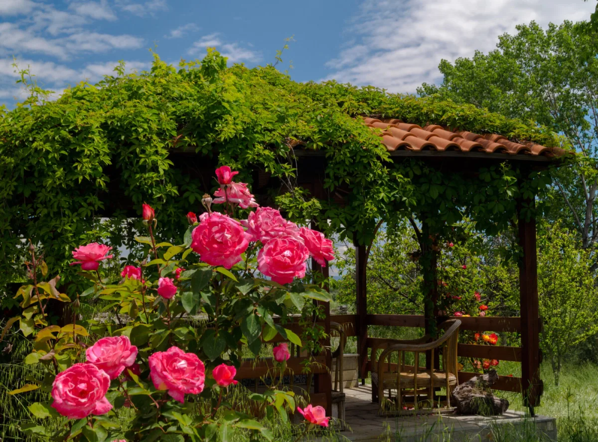 Your Garden Will Cool Itself When You Build the Right Layers of Greenery