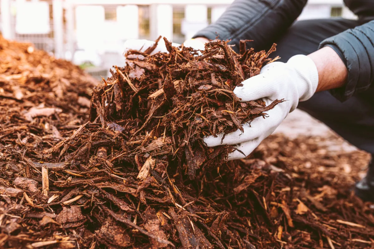 Mulching for a healthier garden / Depositphotos