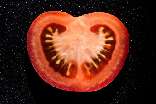 How to Safely Save and Store Tomato Seeds for Next Year