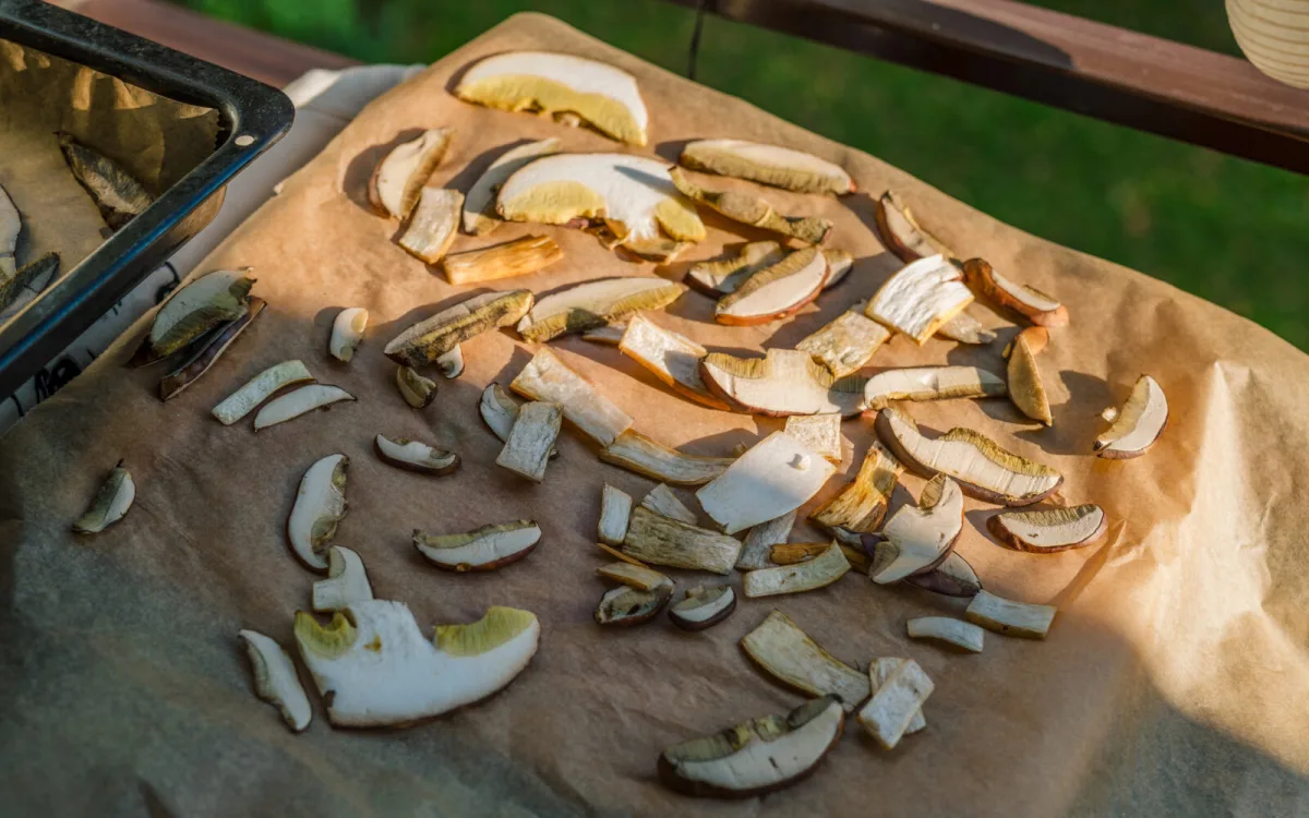 Como escolher cogumelos para secar e manter o sabor para o inverno