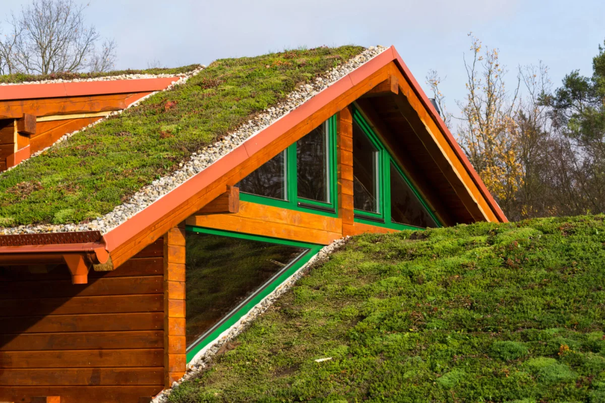 Green roof / Photo: Depositphotos