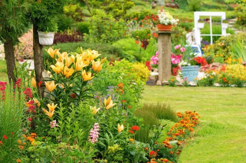 You Can Still Sow in August and Keep Harvesting Into the Cooler Days