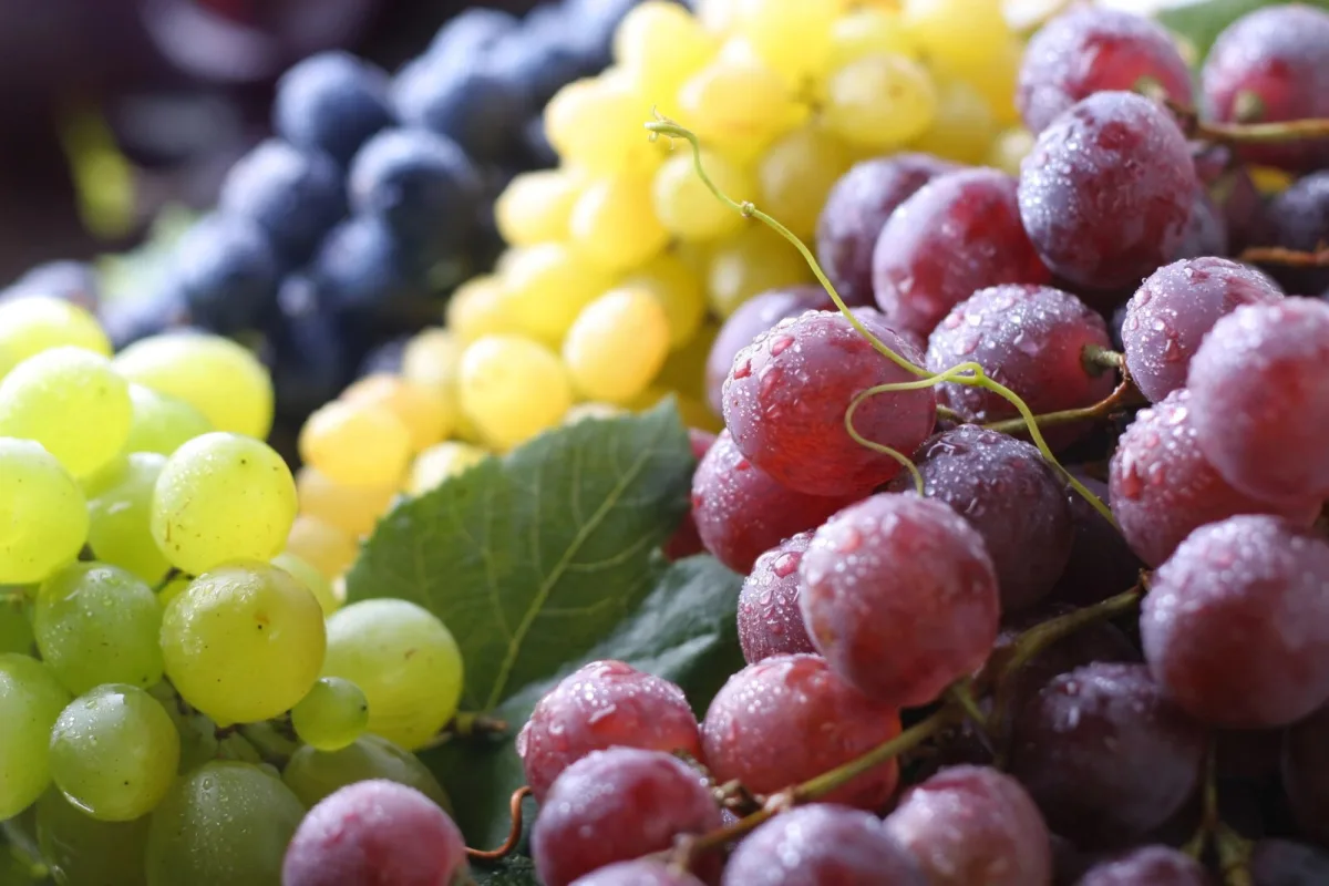Why It Makes Sense to Put Grapes in the Freezer Overnight