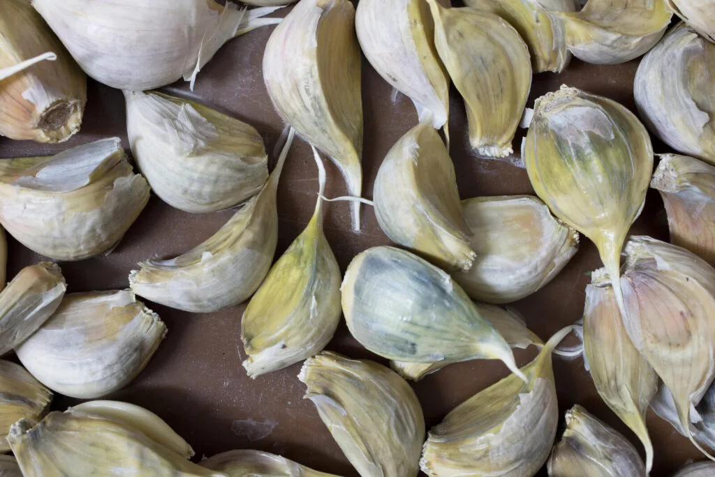 Garlic / Photo: Depositphotos