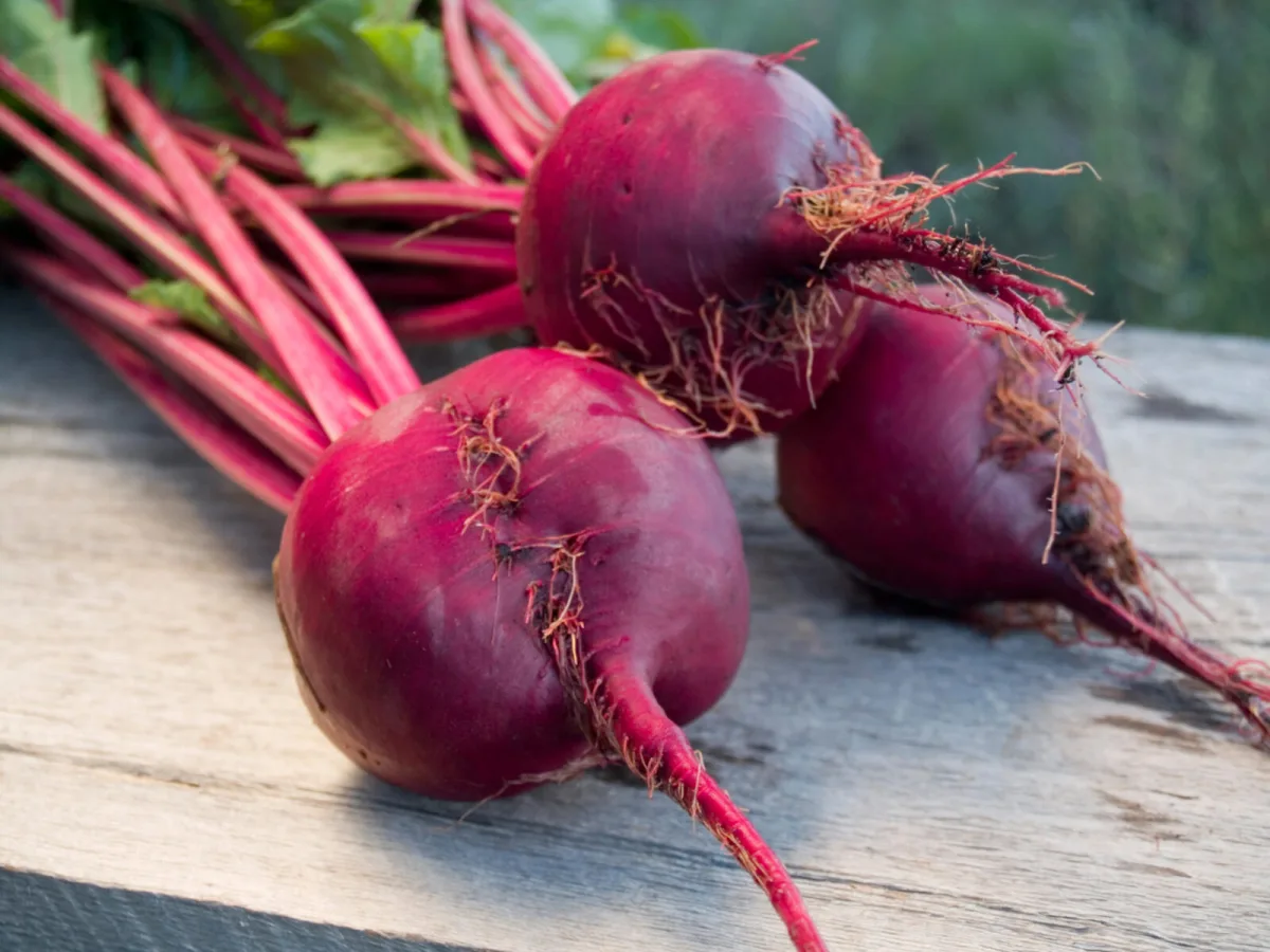 Beetroot / Photo: Depositphotos