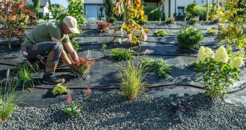 Seven perennials to plant right now so they take off faster in spring than your neighbour’s
