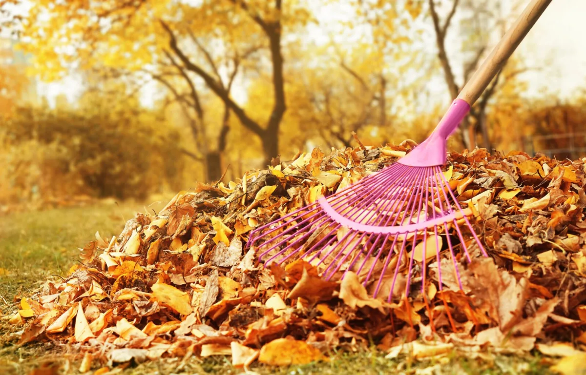 A Pile of Leaves Becomes Soil Gold Gardeners Swear by the Mesh and Bag Trick