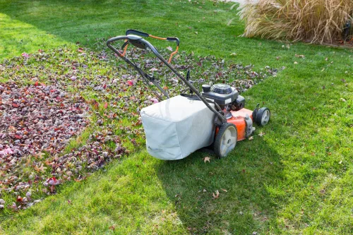How to Tell When to Stop Mowing in Autumn and Get Your Lawn Ready for Winter