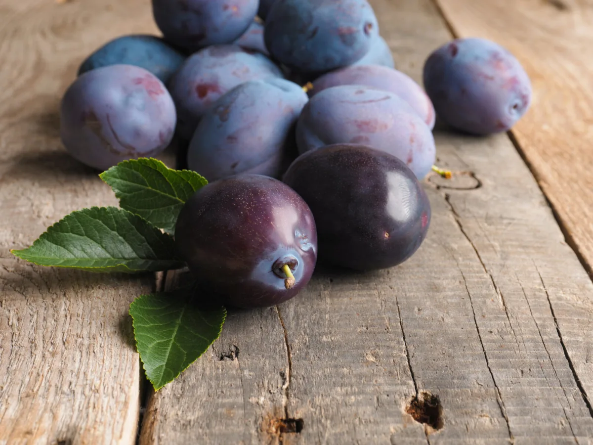 A simple way to ripen unripe plums at home and save them from the bin