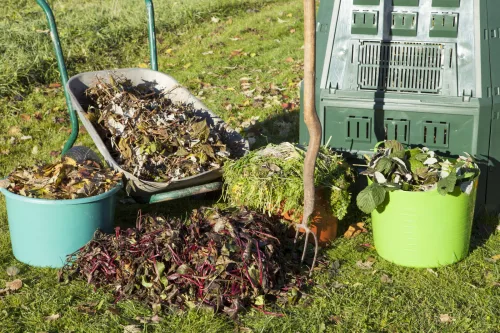Gardeners Start Compost in Autumn for a Benefit Many Overlook