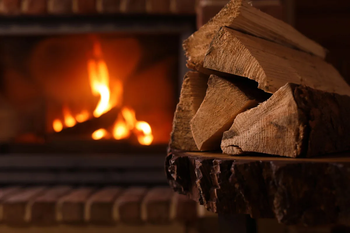Advantages and disadvantages of heating with wood / Depositphotos