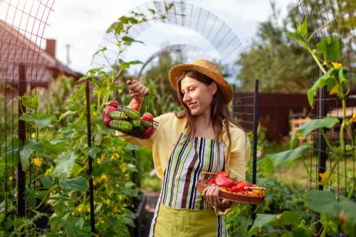 September jobs in the garden from weeding and lawn care to spring bulbs