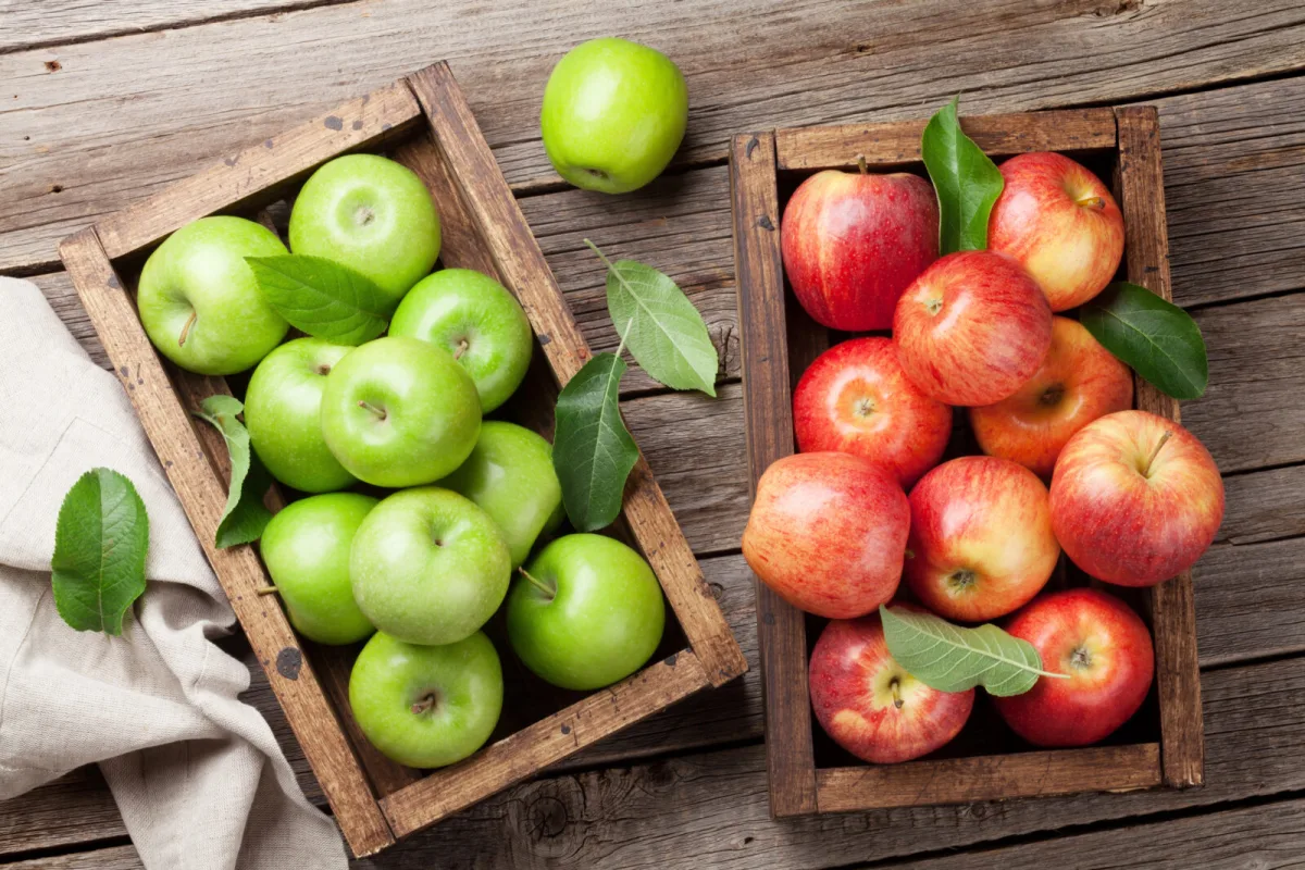 Storing apples / Depositphotos
