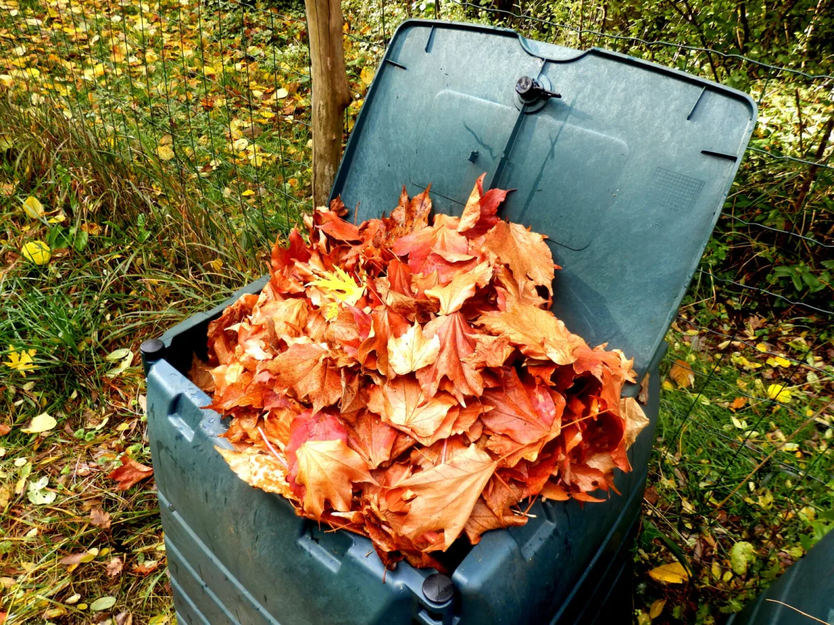 Compostagem de folhas / Foto: Depositphotos