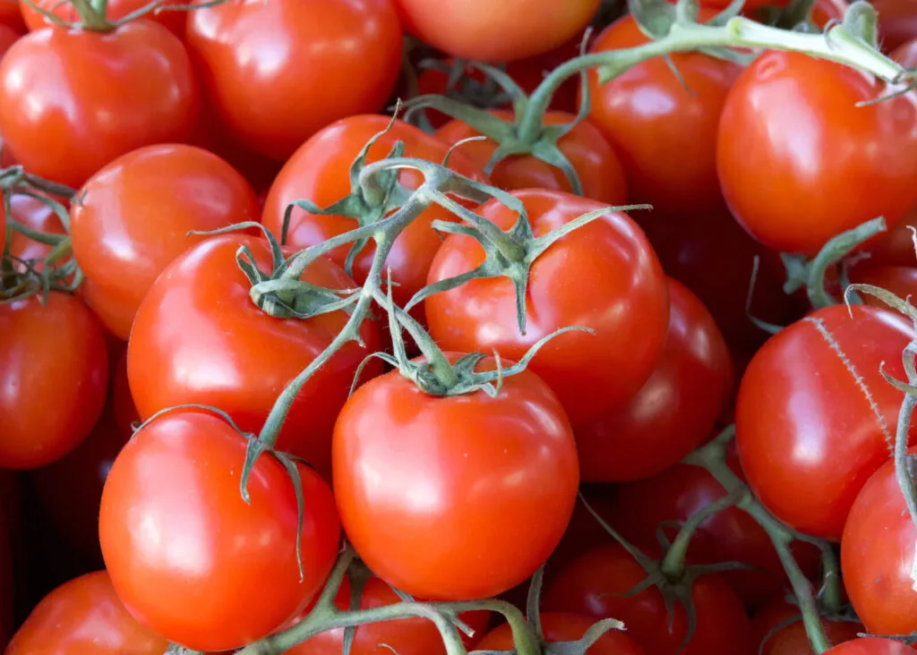 Tomatoes