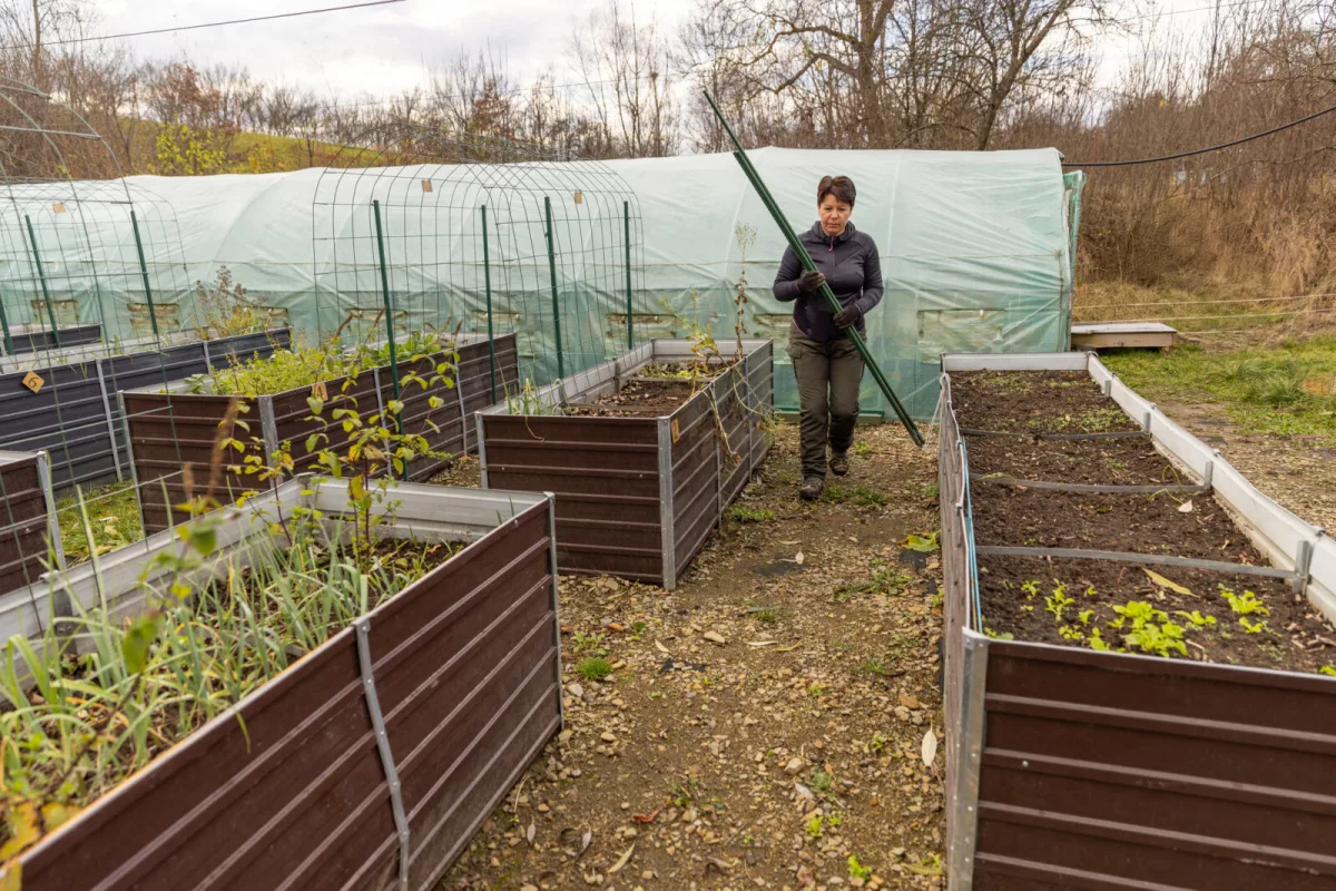 Preparing raised beds for winter / Photo: Depositphotos