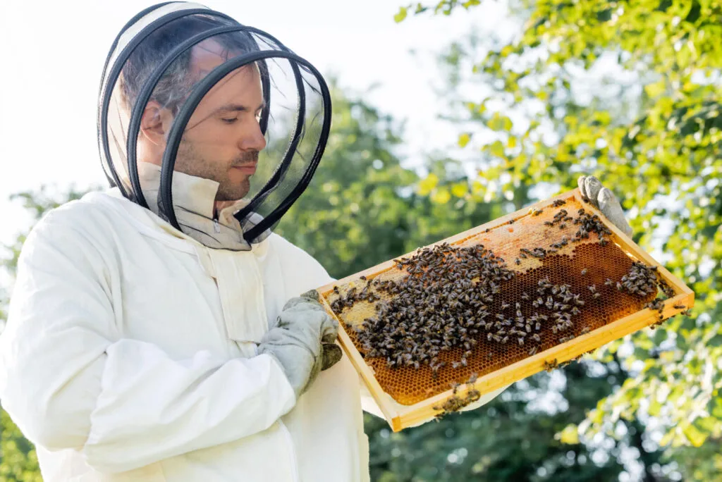 Élevage des abeilles / Photo : Depositphotos