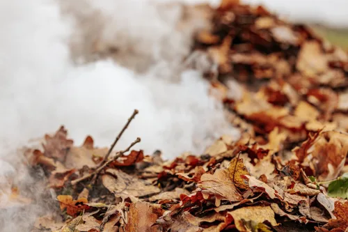 Burning Leaves in the Garden Is No Longer Allowed in Czechia